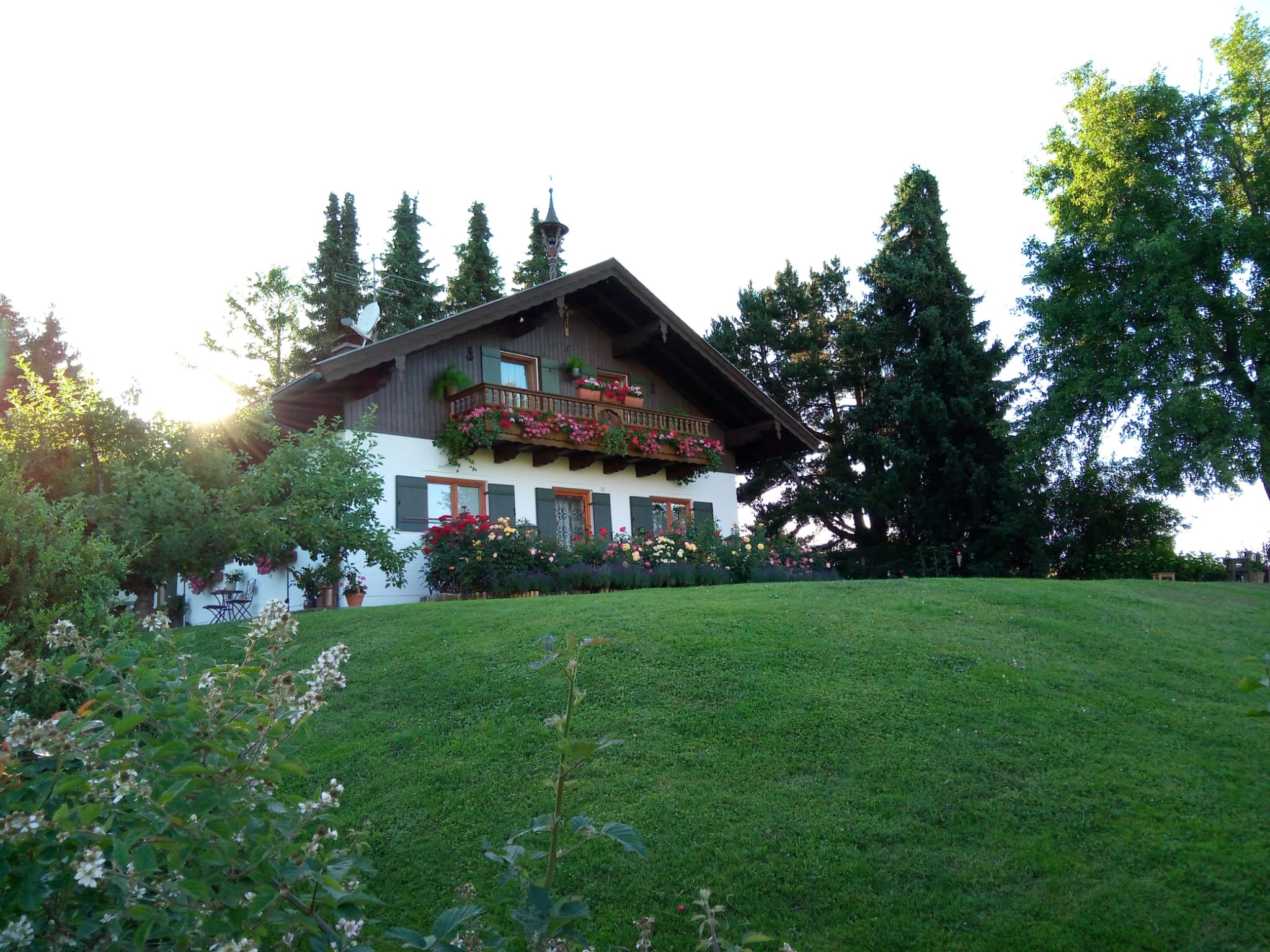 Gartenratsch